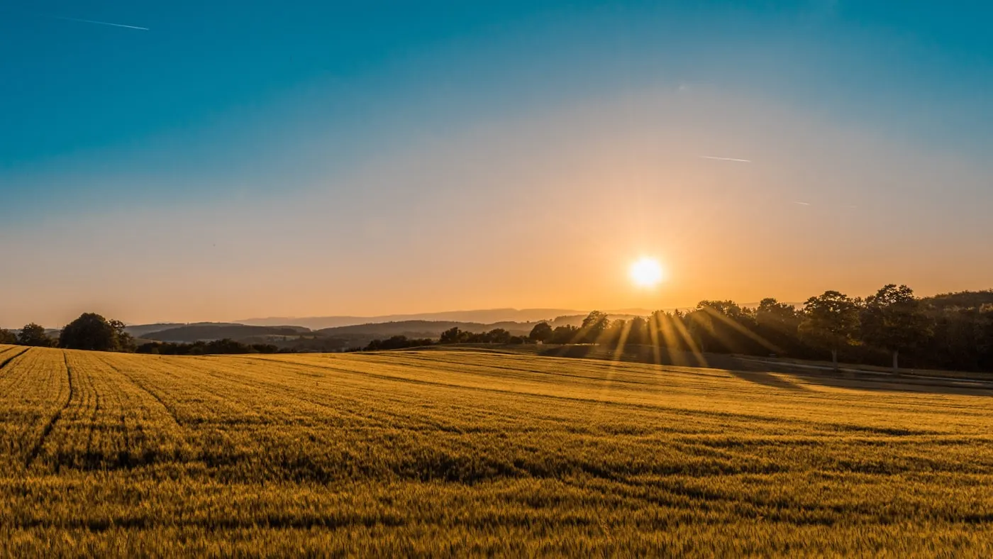 Rural South African farmland at sunrise
