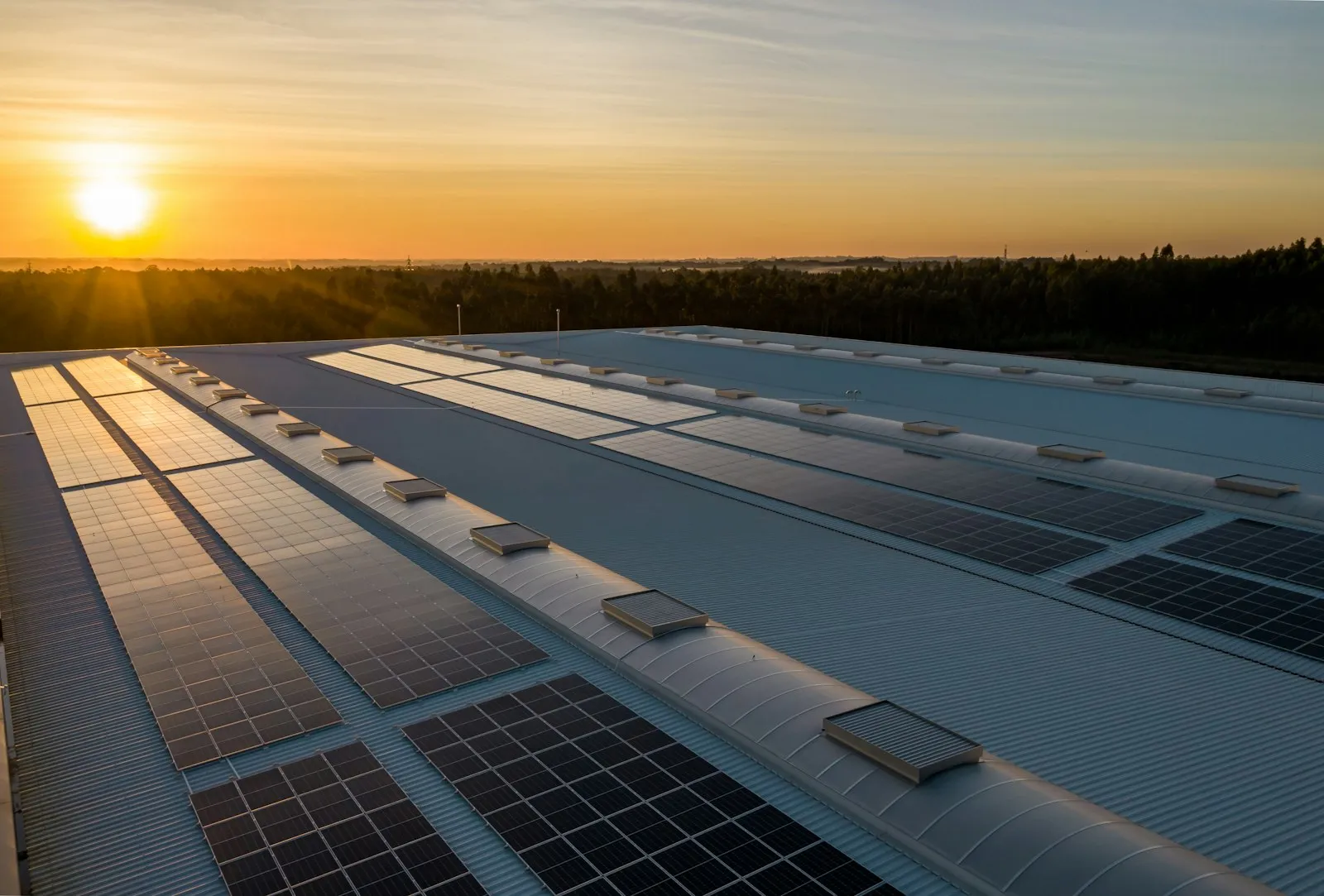 A large rooftop solar array catching warm light at sunrise